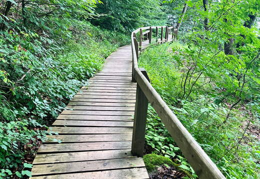 24-07-02 16-04-20 0138